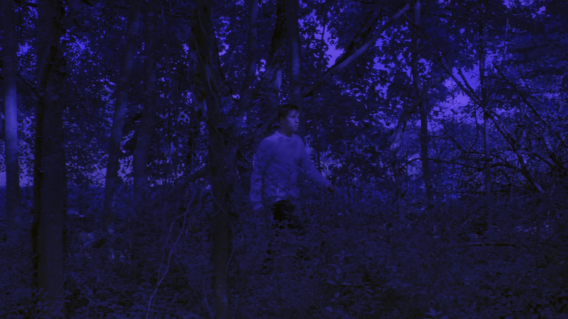 Still de la vidéo Candela (2022) réalisée par Lefebvre Zisswiller, un jeune homme traverse une forêt au crépuscule.