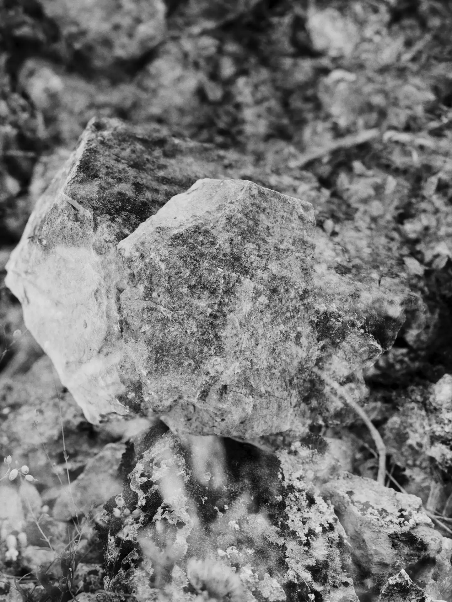 Photographie en noir et blanc montrant une roche au centre d'un sol minéral, dont la forme suggère un dédoublement, extrait de la série Mineral Tides (2024).